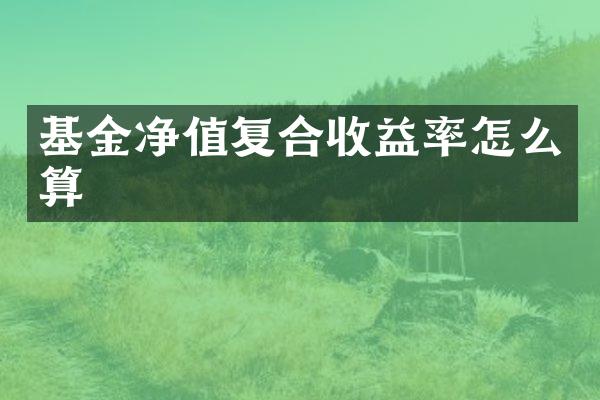 基金净值复合收益率怎么算