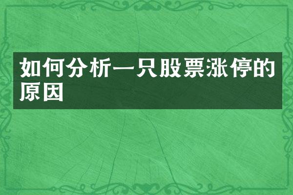 如何分析一只股票涨停的原因