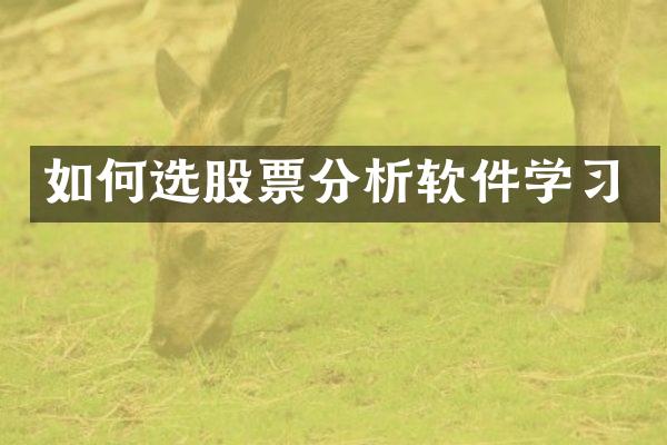 如何选股票分析软件学习