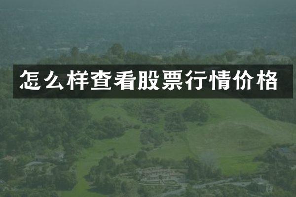怎么样查看股票行情价格