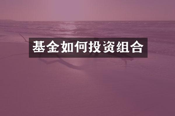 基金如何投资组合