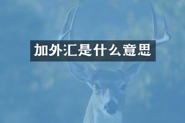 加外汇是什么意思