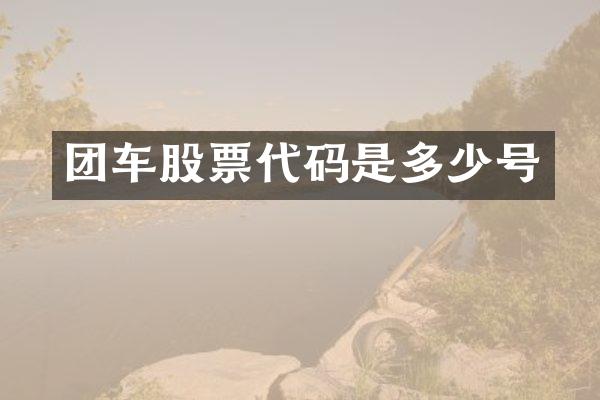 团车股票代码是多少号