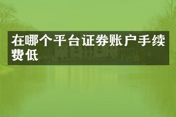 在哪个平台证券账户手续费低
