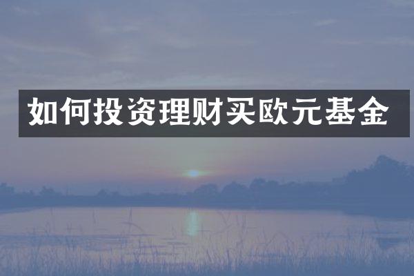 如何投资理财买欧元基金
