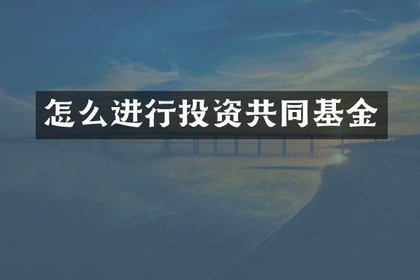怎么进行投资共同基金