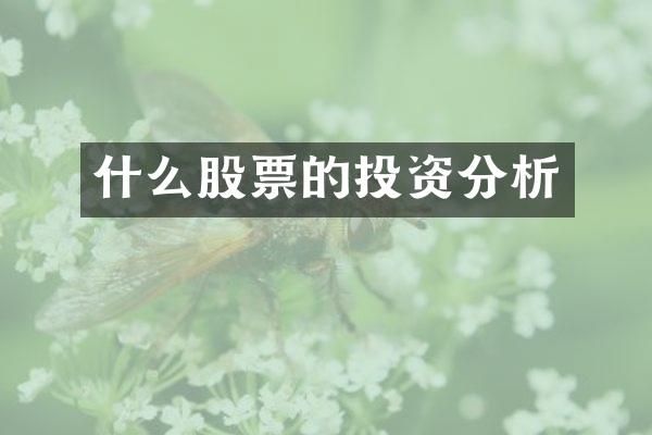 什么股票的投资分析