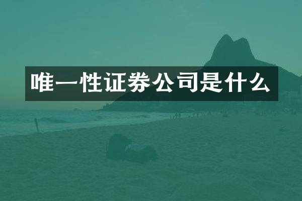 唯一性证券公司是什么