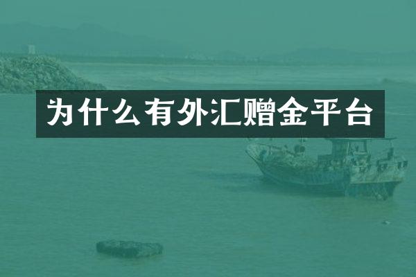 为什么有外汇赠金平台