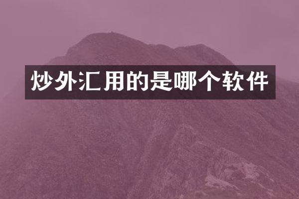 炒外汇用的是哪个软件