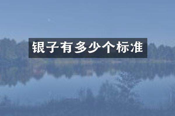 银子有多少个标准