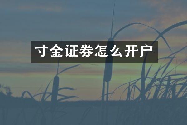 寸金证券怎么开户