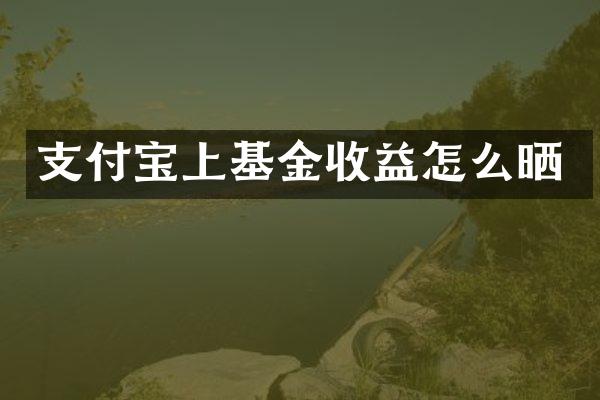 支付宝上基金收益怎么晒