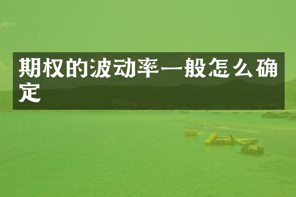 期权的波动率一般怎么确定