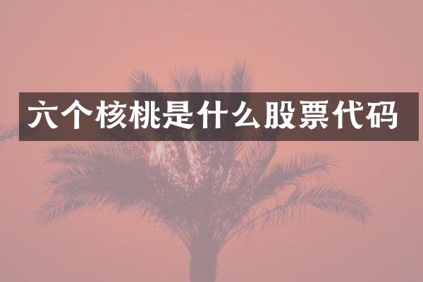 六个核桃是什么股票代码