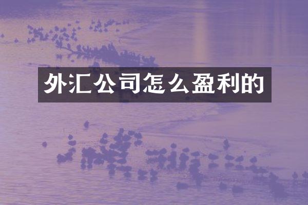 外汇公司怎么盈利的
