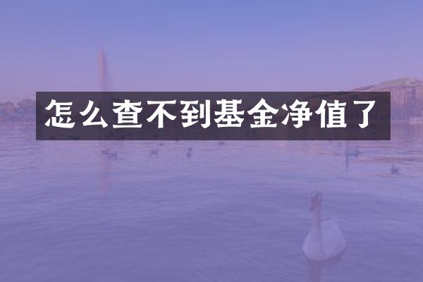 怎么查不到基金净值了