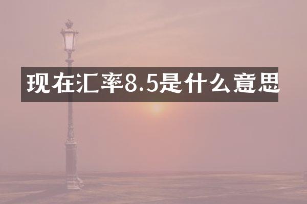 现在汇率8.5是什么意思