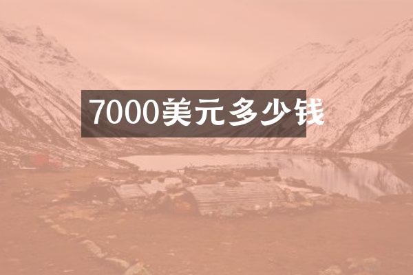 7000美元多少钱