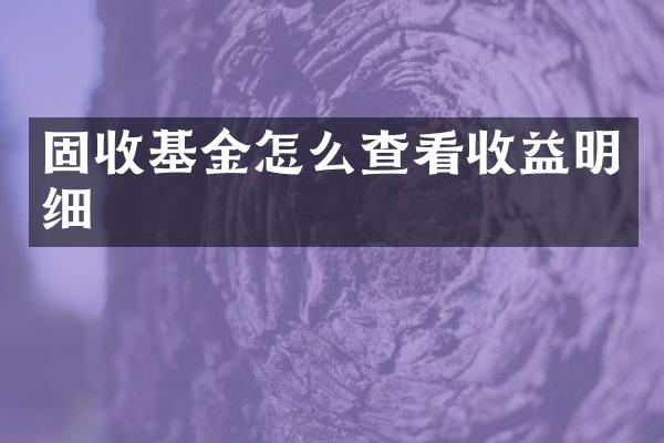 固收基金怎么查看收益明细