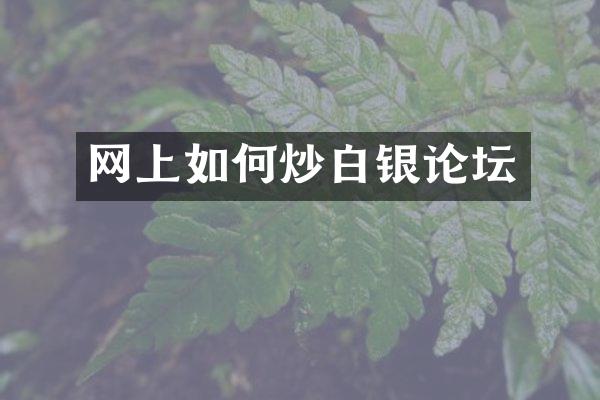 网上如何炒白银论坛
