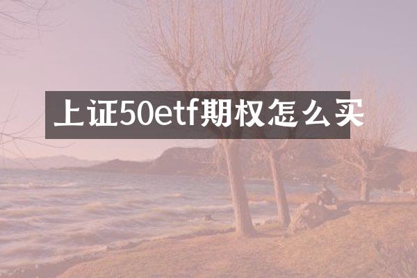 上证50etf期权怎么买