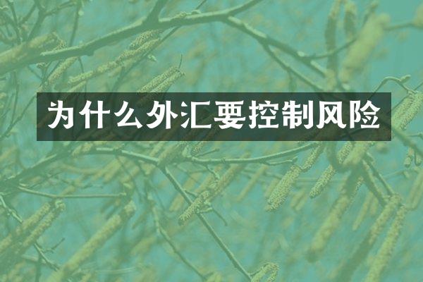 为什么外汇要控制风险