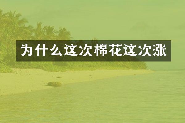 为什么这次棉花这次涨