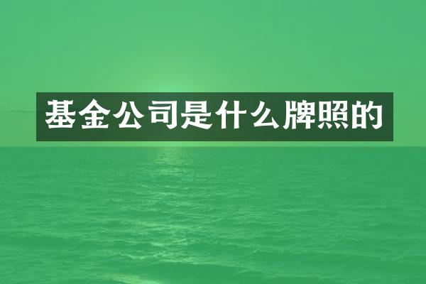 基金公司是什么牌照的