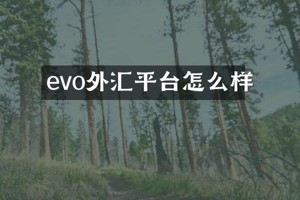 evo外汇平台怎么样