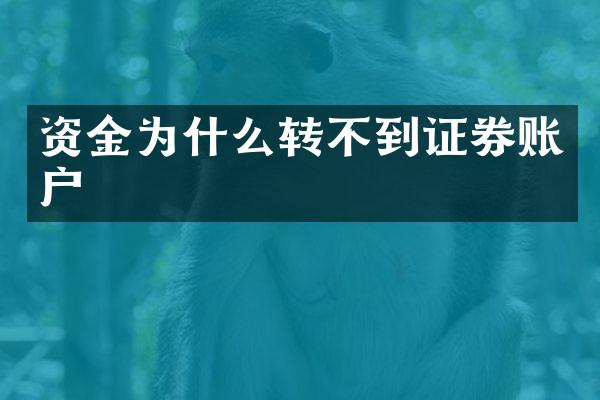 资金为什么转不到证券账户