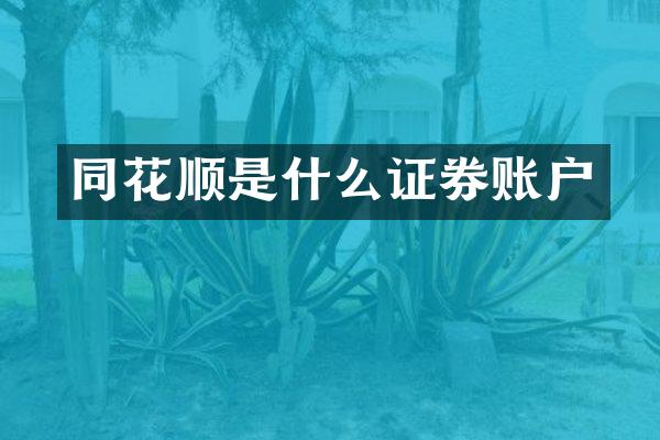 同花顺是什么证券账户