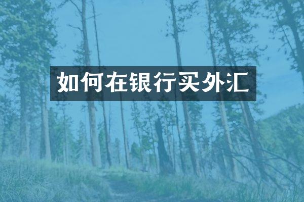 如何在银行买外汇