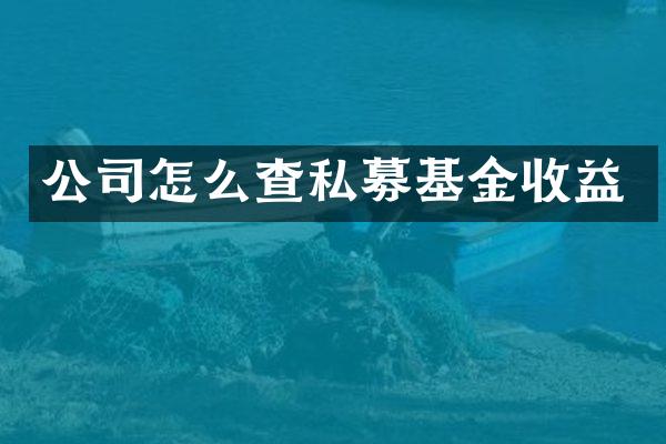 公司怎么查私募基金收益