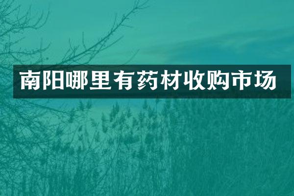 南阳哪里有药材收购市场