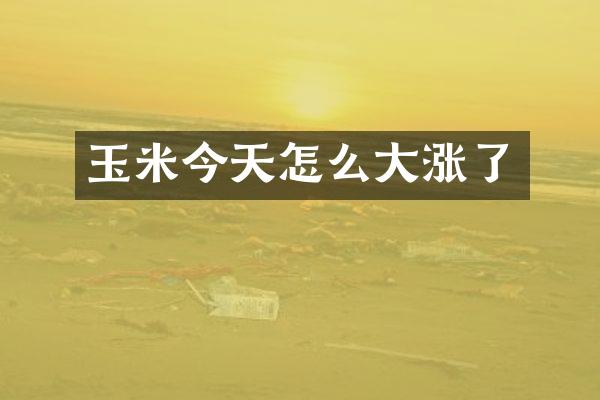 玉米今天怎么大涨了