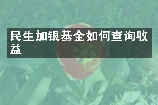 民生加银基金如何查询收益