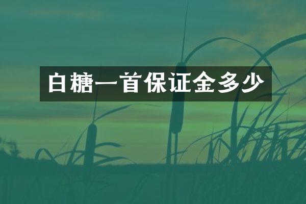 白糖一首保证金多少