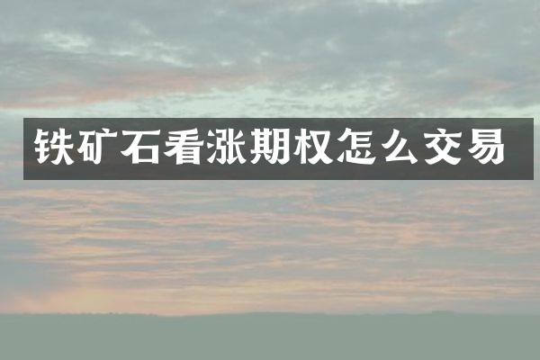 铁矿石看涨期权怎么交易