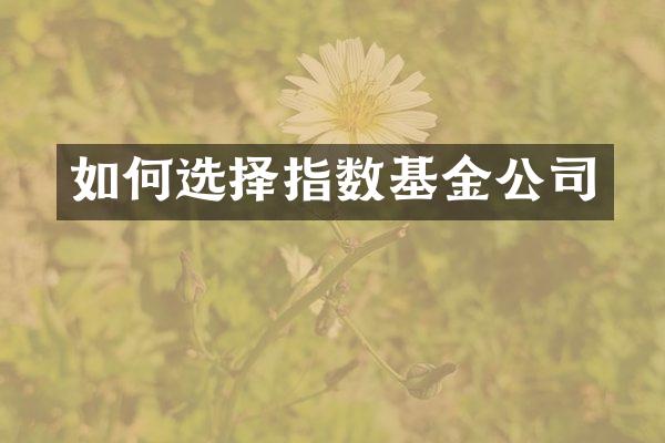 如何选择指数基金公司