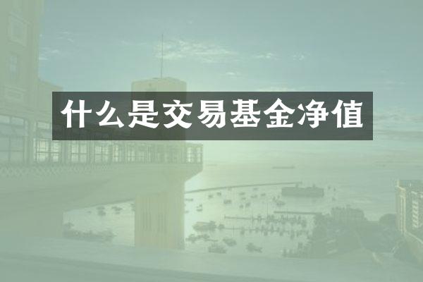 什么是交易基金净值
