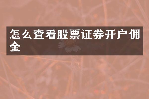怎么查看股票证券开户佣金