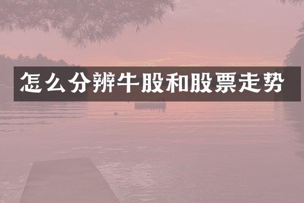 怎么分辨牛股和股票走势