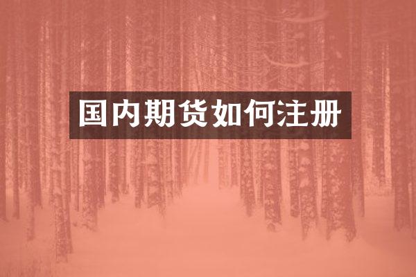 国内期货如何注册