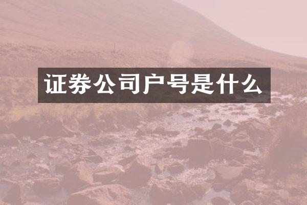 证券公司户号是什么