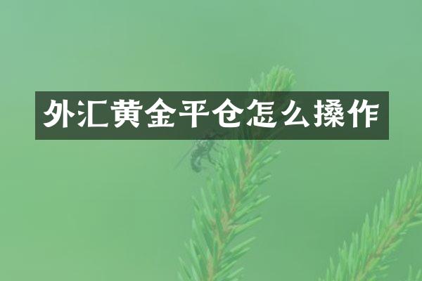 外汇黄金平仓怎么搡作
