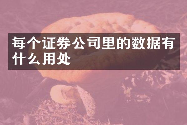 每个证券公司里的数据有什么用处