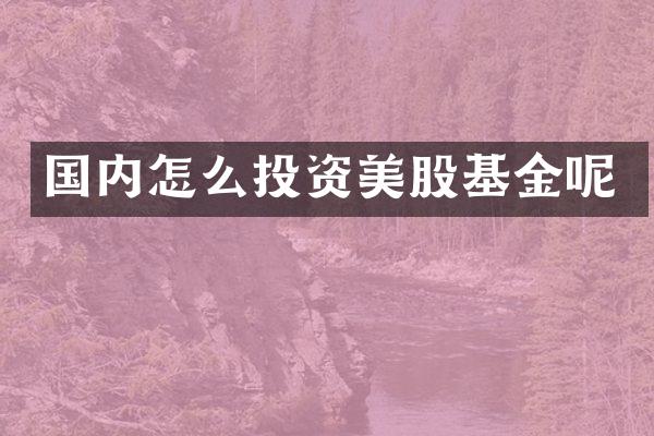 国内怎么投资美股基金呢
