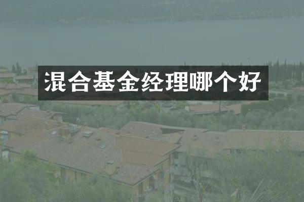 混合基金经理哪个好