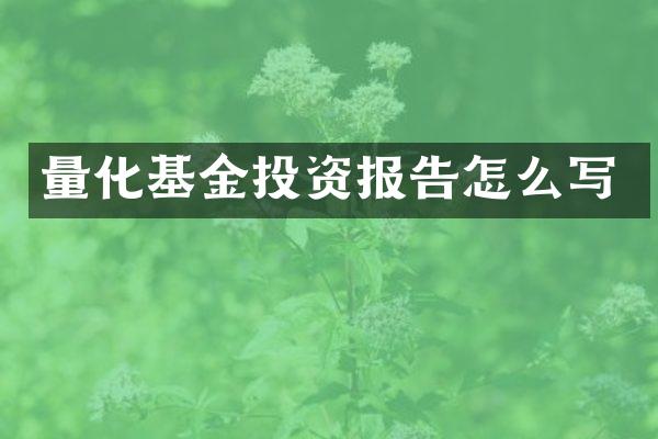 量化基金投资报告怎么写